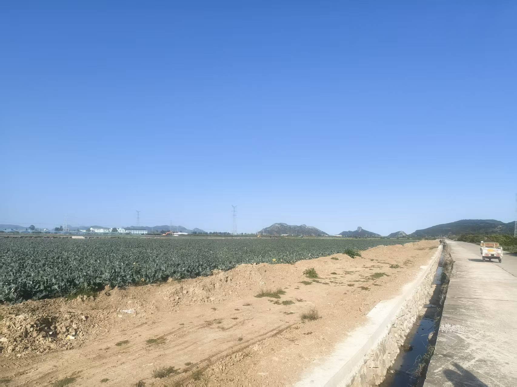 临海市桃渚镇龙头村新塘西边土地的租赁权