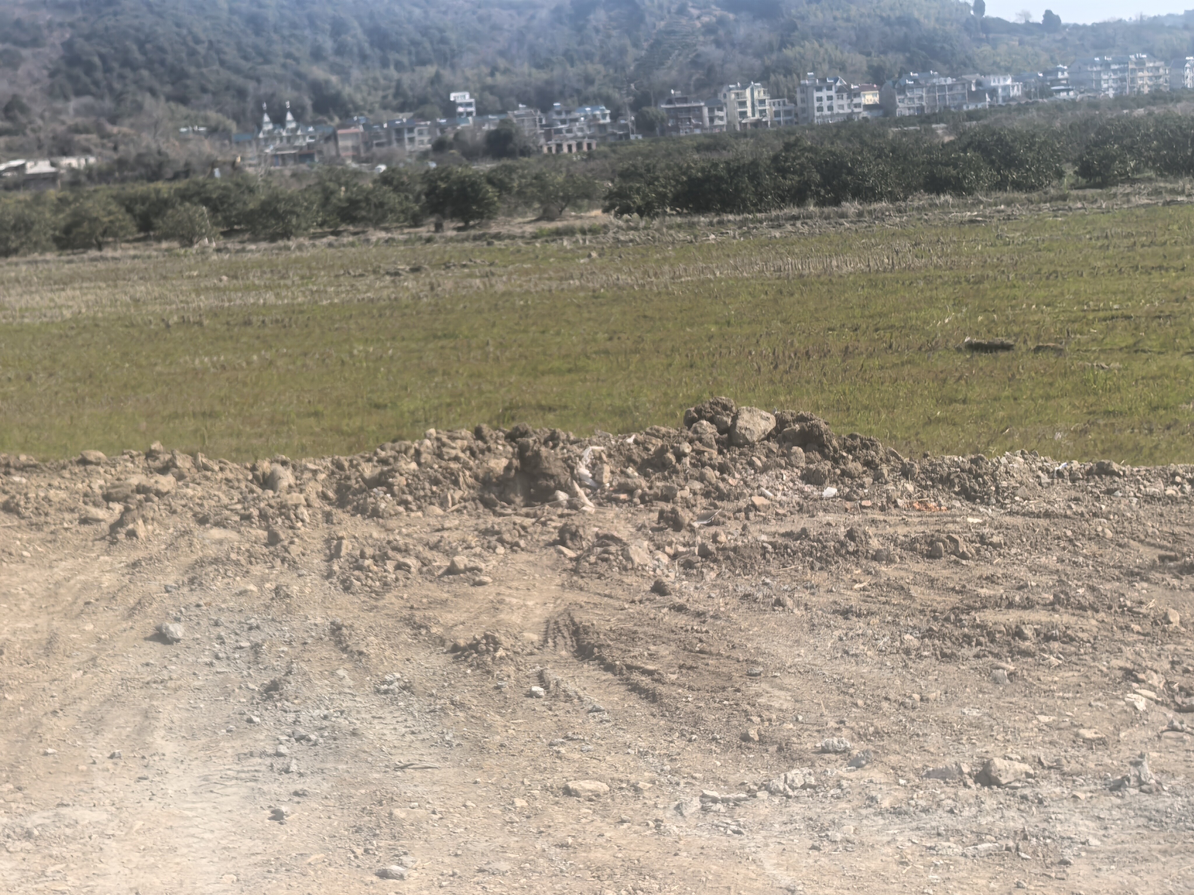 临海市桃渚镇涧大岙村土地的租赁权