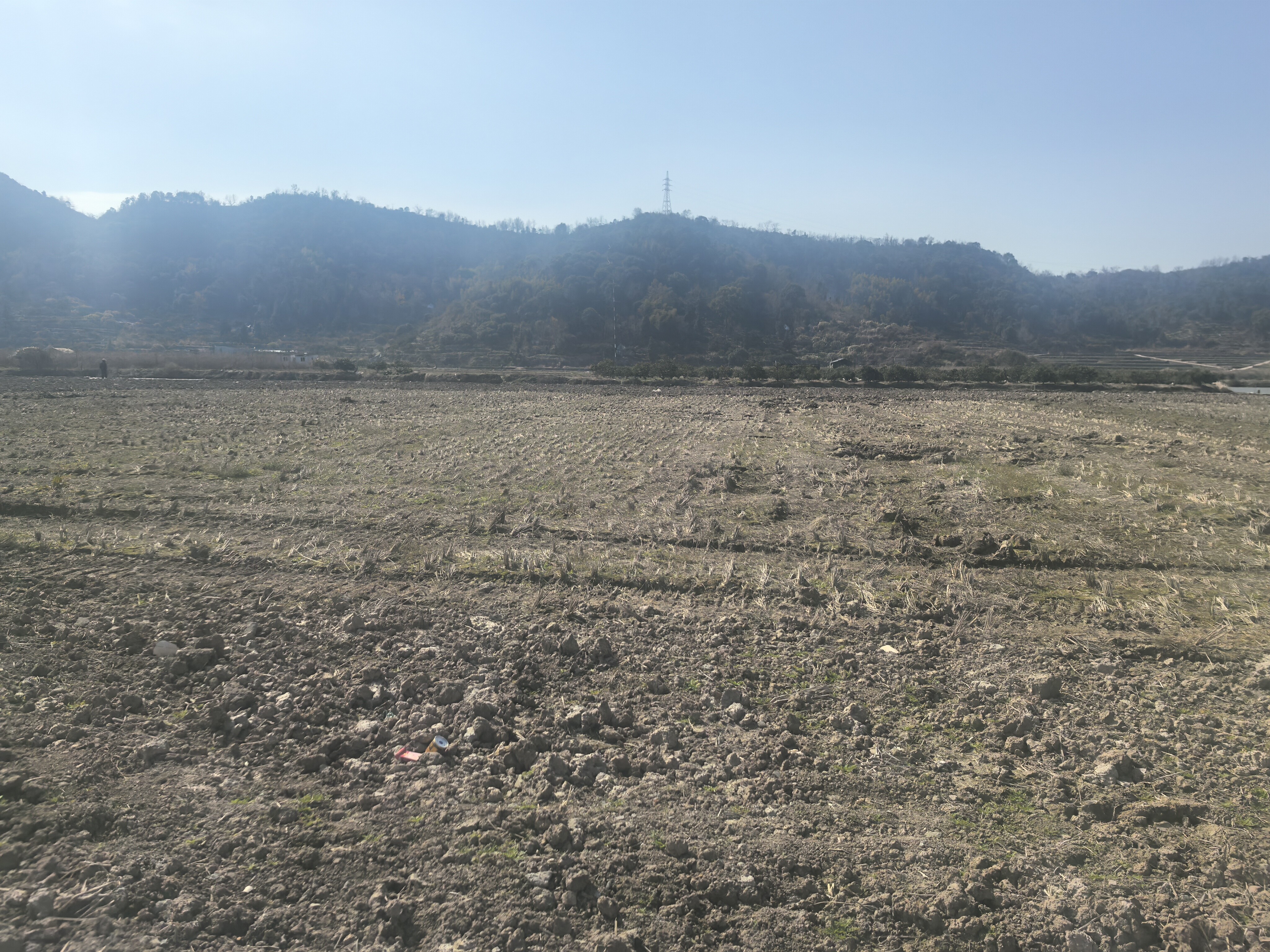 临海市桃渚镇涧大岙村土地的租赁权