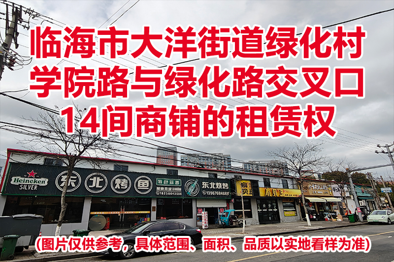 临海市大洋街道绿化村学院路与绿化路交叉口14间商铺的租赁权