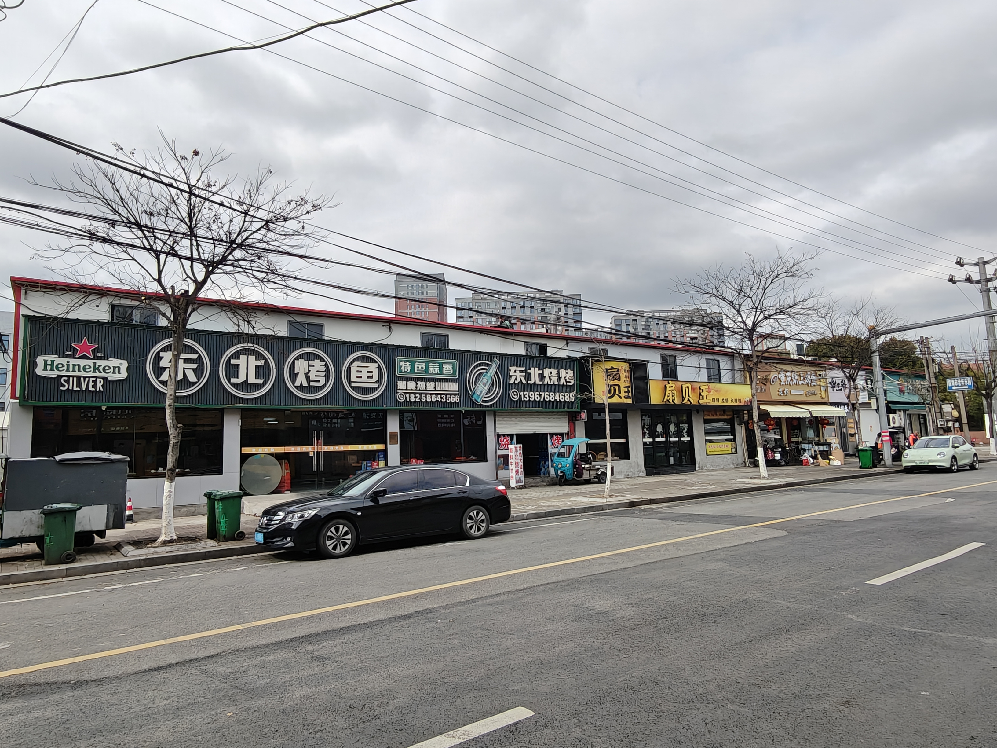 临海市大洋街道绿化村学院路与绿化路交叉口14间商铺的租赁权