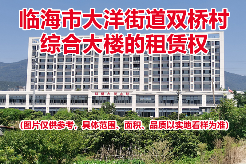 临海市大洋街道双桥村综合大楼的租赁权