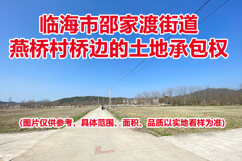 临海市邵家渡街道燕桥村桥边的土地承包权