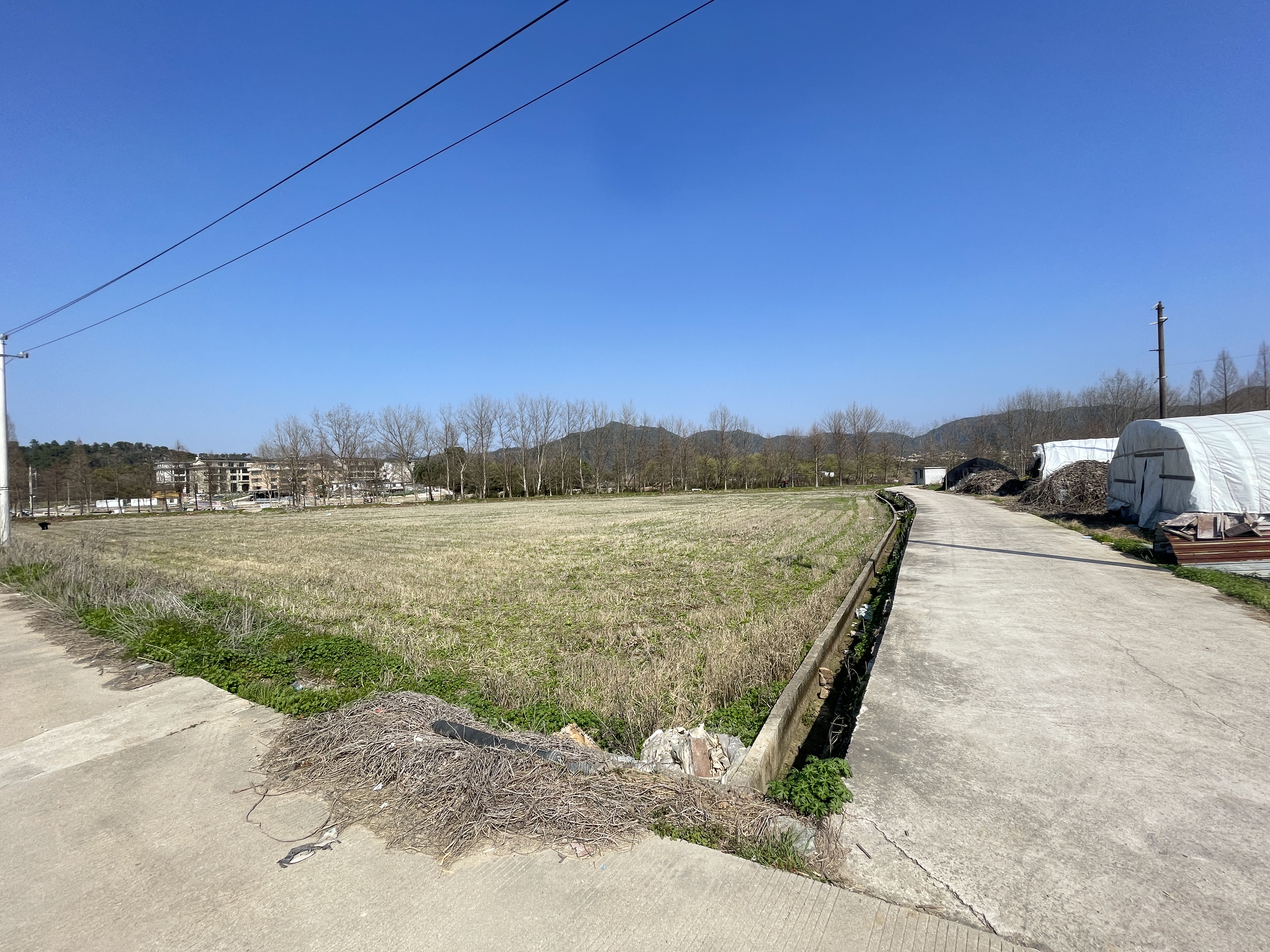 临海市邵家渡街道燕桥村桥边的土地承包权