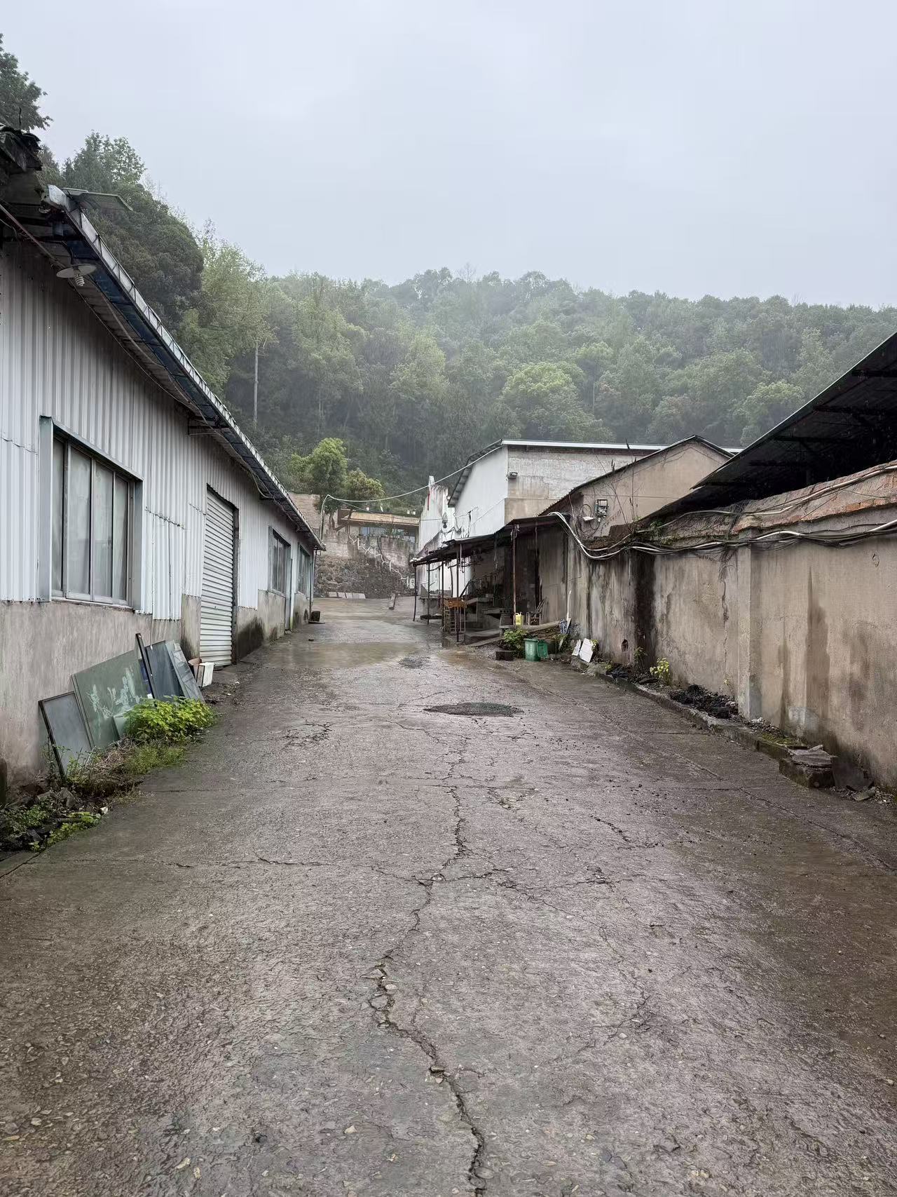 临海市大洋街道泾头项村斗堂（不含门口靠西边的10间）的租赁权