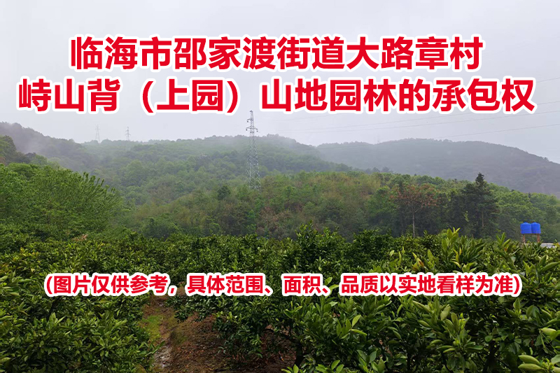 临海市邵家渡街道大路章村峙山背（上园）山地园林的承包权