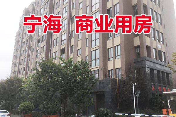 位于宁海县西店镇尚品苑区块1楼9套商业用房