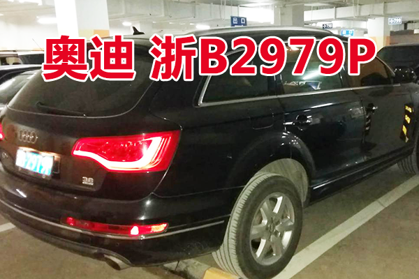 浙B2979P奥迪牌小型越野客车