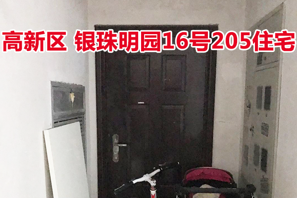 标的17：位于银珠明园16号205的住宅