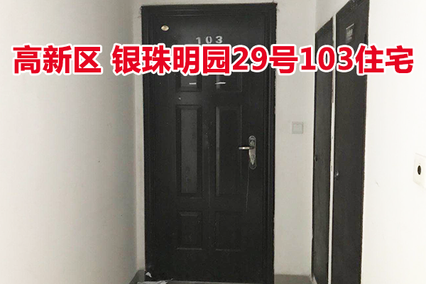 标的38：位于银珠明园29号103的住宅