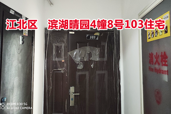 标的15：位于滨湖晴园4幢8号103的住宅