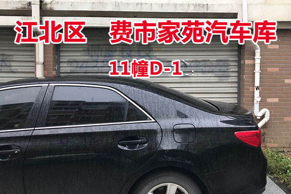 序号10：费市家苑汽车库11幢D-1