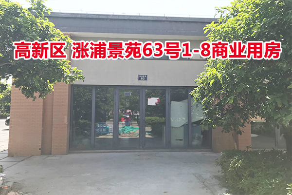 序号10：位于涨浦景苑63号1-8的商业用房