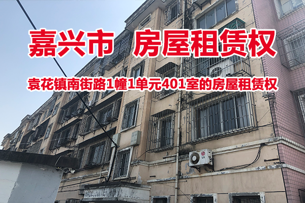 序号07：袁花镇南街路1幢1单元401室的房屋租赁权