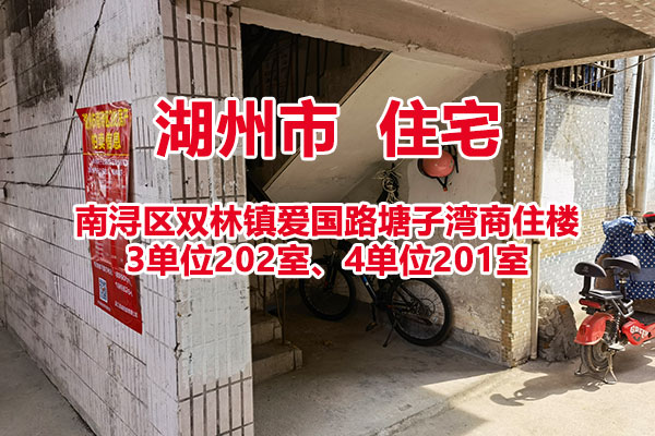 序号03：湖州市南浔区双林镇爱国路塘子湾商住楼3单位202室、4单位201室