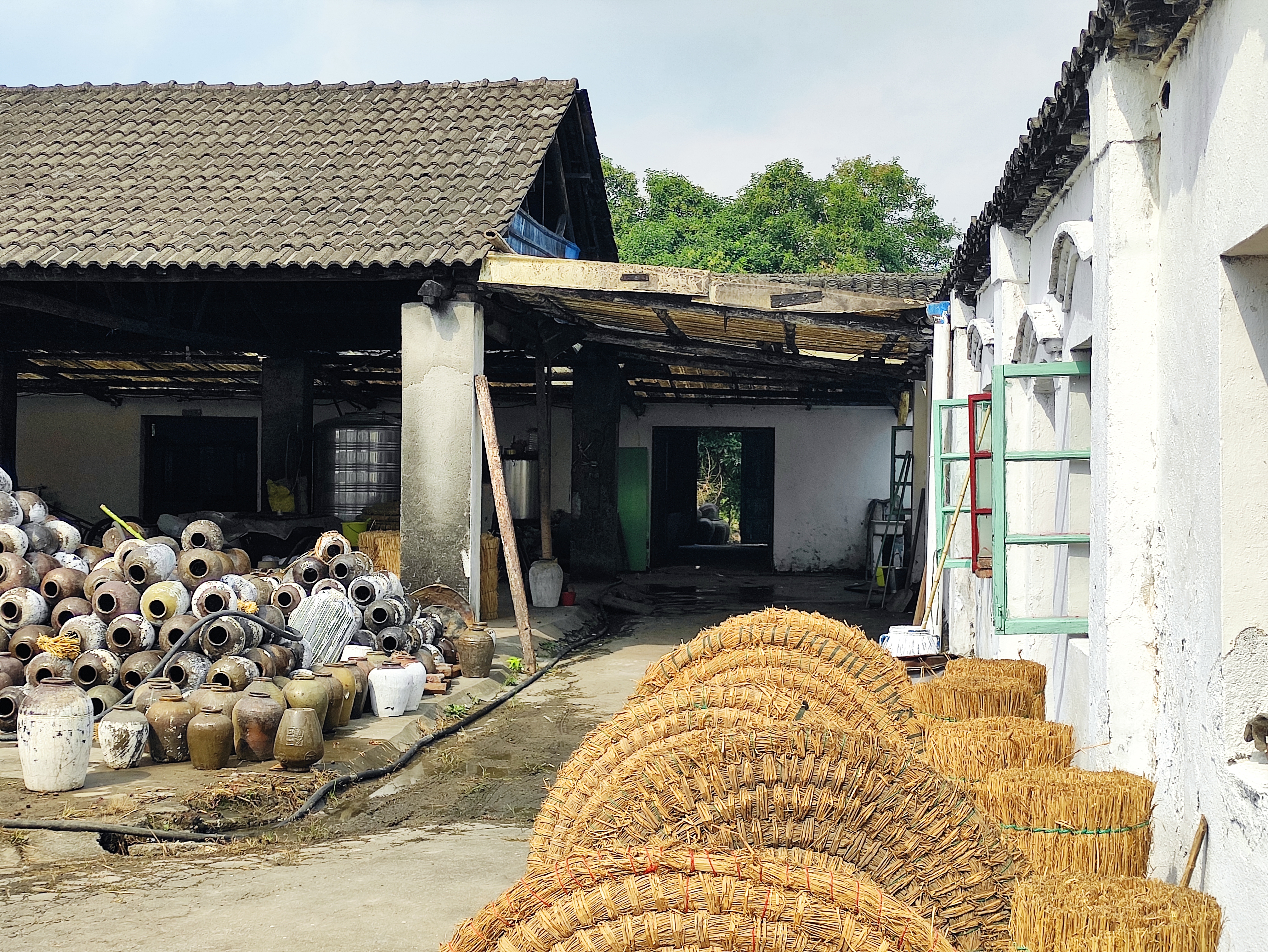 三塘头村利群路209号房地产的租赁权