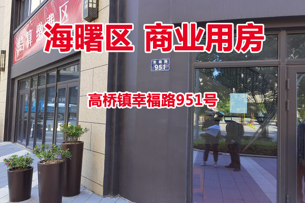 序号08：宁波市海曙区高桥镇幸福路951号