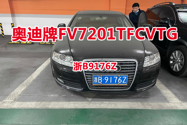 序号01:奥迪牌FV7201TFCVTG