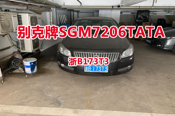 序号10:别克牌SGM7206TATA