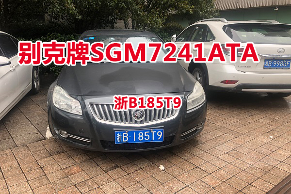 序号04:别克牌SGM7241ATA