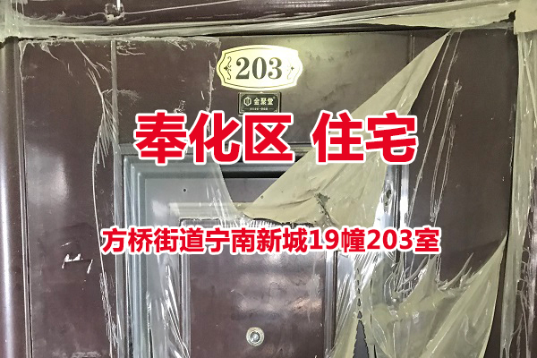 序号08：方桥街道宁南新城19幢203室