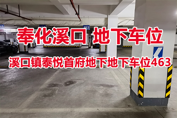 序号31：溪口镇泰悦首府地下地下车位463