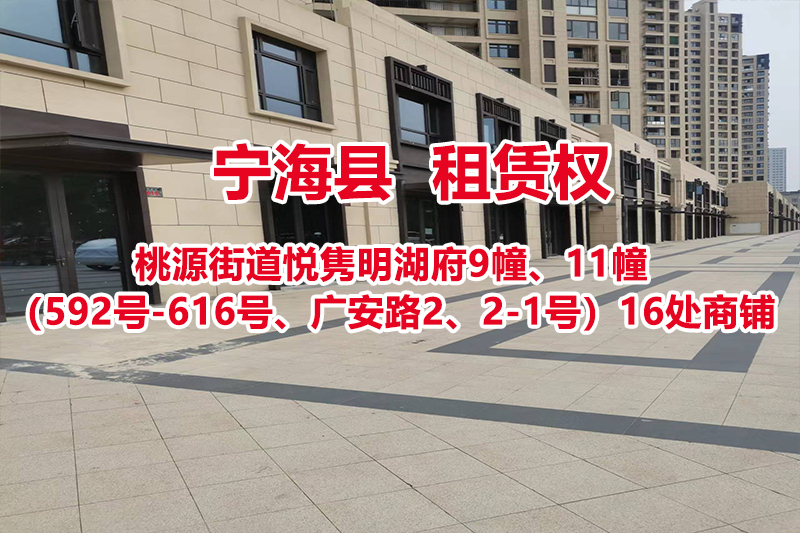 序号01：宁海县桃源街道悦隽明湖府9幢、11幢（592号-616号、广安路2、2-1号）16处商铺房屋租赁权