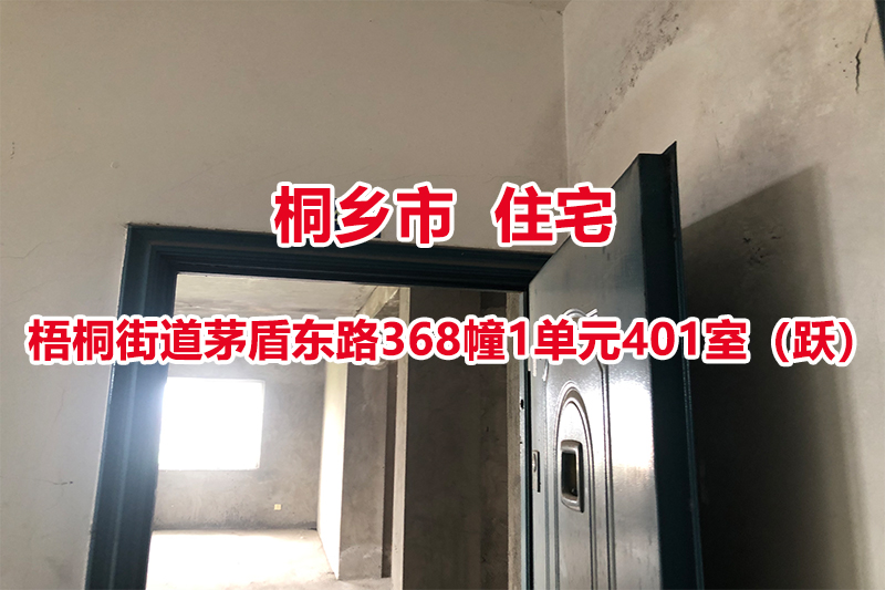 桐乡市梧桐街道茅盾东路368幢1单元401室（跃）