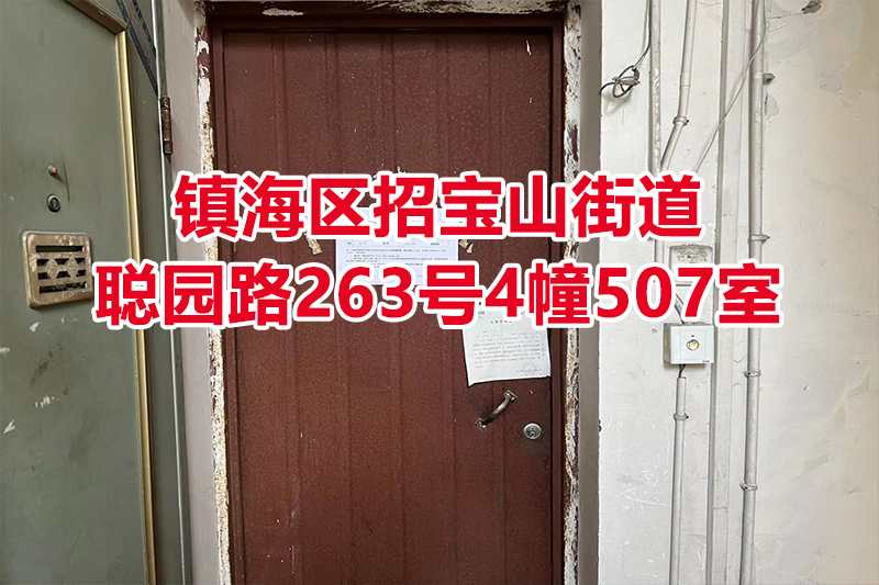 序号11：镇海区招宝山街道聪园路263号4幢507室