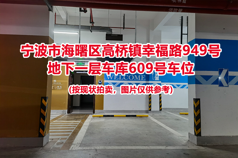 序号259：宁波市海曙区高桥镇幸福路949号
地下一层车库609号车位