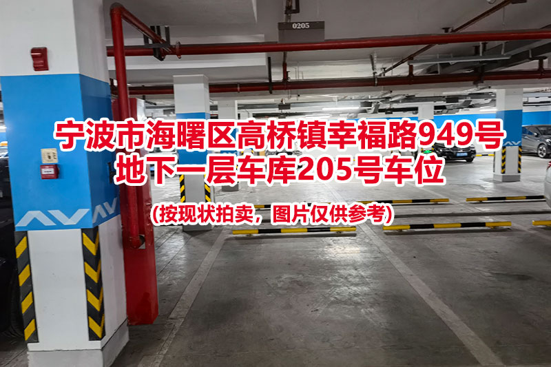 序号064：宁波市海曙区高桥镇幸福路949号
地下一层车库205号车位