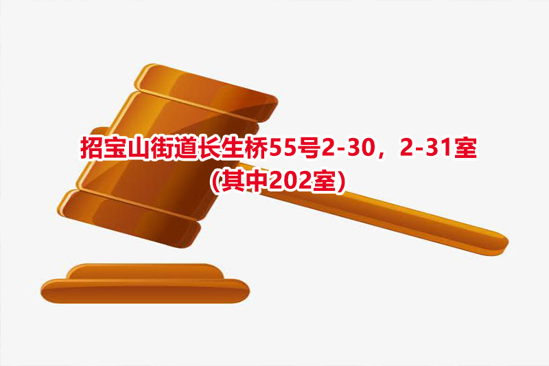 序号12：招宝山街道长生桥55号2-30，2-31室（其中202室）