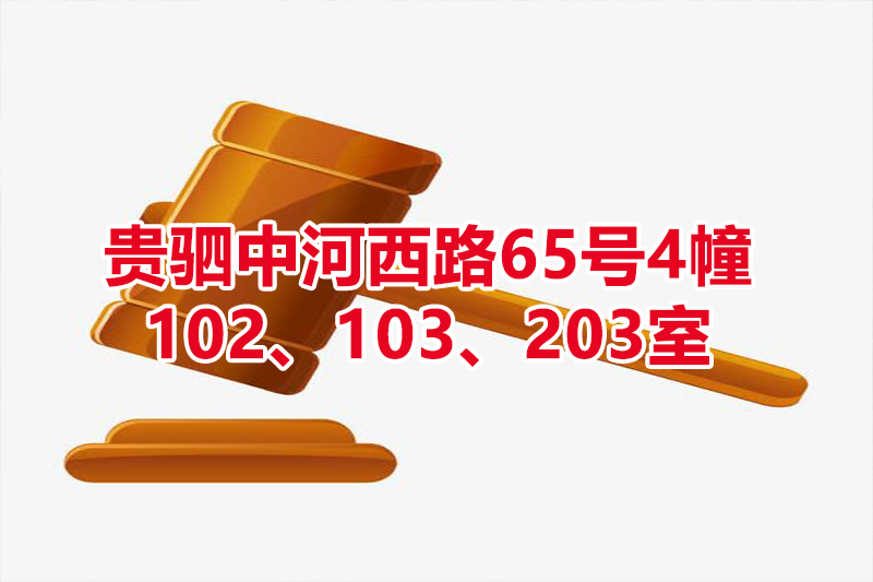 序号07：贵驷中河西路65号4幢102、103、203室