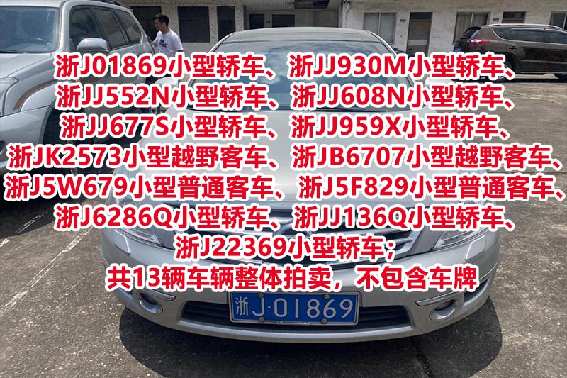 浙J01869小型轿车、浙JJ930M小型轿车、浙JJ552N小型轿车、浙JJ608N小型轿车、浙JJ677S小型轿车、浙JJ959X小型轿车、浙JK2573小型越野客车、浙JB6707小型越野客车、浙J5W679小型普通客车、浙J5F829小型普通客车、浙J6286Q小型轿车、浙JJ136Q小型轿车、浙J22369小型轿车；共13辆车辆整体拍卖，不包含车牌