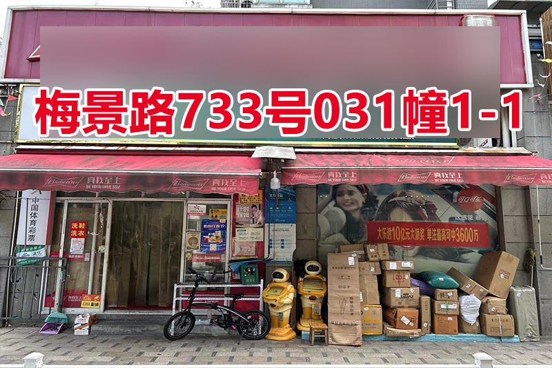 序号46：梅景路733号
031幢1-1