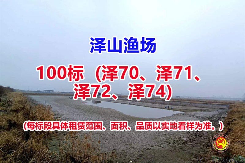 序号100：100标（泽70、泽71、泽72、泽74）