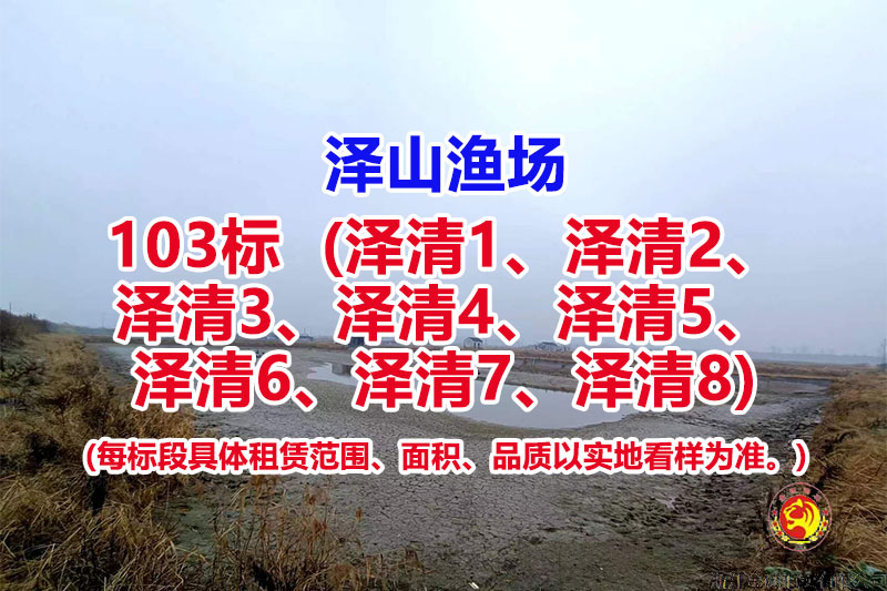 序号103：103标（泽清1、泽清2、泽清3、泽清4、泽清5、泽清6、泽清7、泽清8）