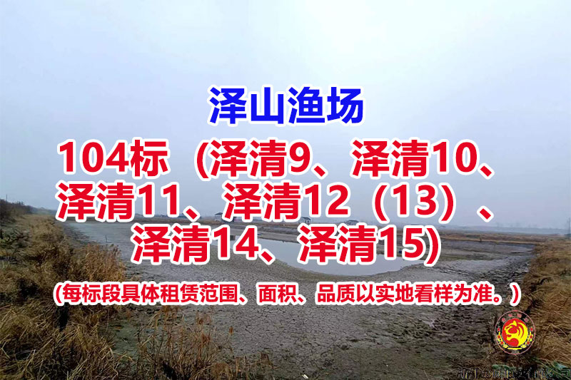 序号104：104标（泽清9、泽清10、泽清11、泽清12（13）、泽清14、泽清15）