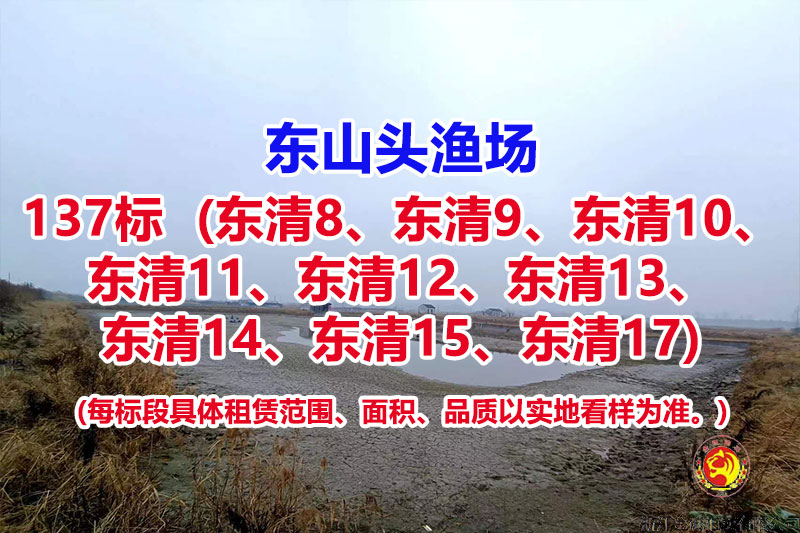 序号137：137标（东清8、东清9、东清10、东清11、东清12、东清13、东清14、东清15、东清17）