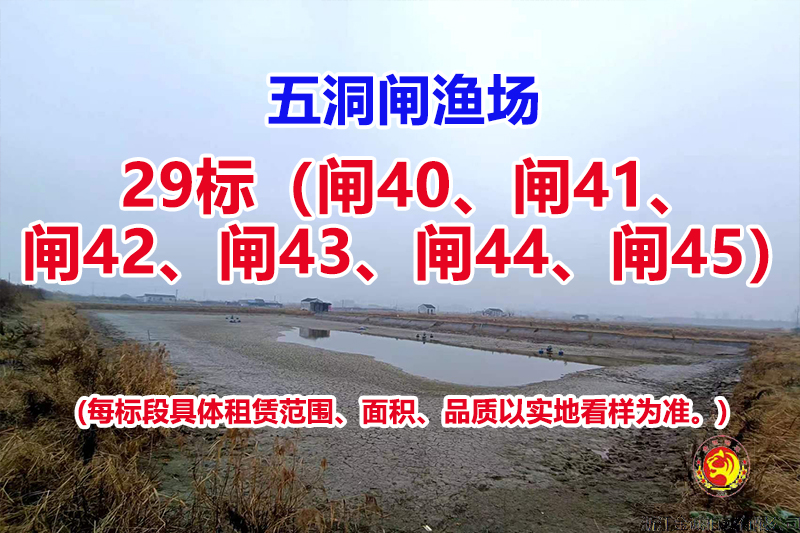 序号029：29标（闸40、闸41、闸42、闸43、闸44、闸45）