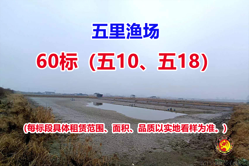 序号060：60标（五10、五18）