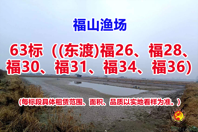 序号063：63标（(东渡)福26、福28、福30、福31、福34、福36）