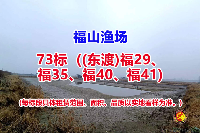 序号073：73标（(东渡)福29、福35、福40、福41）