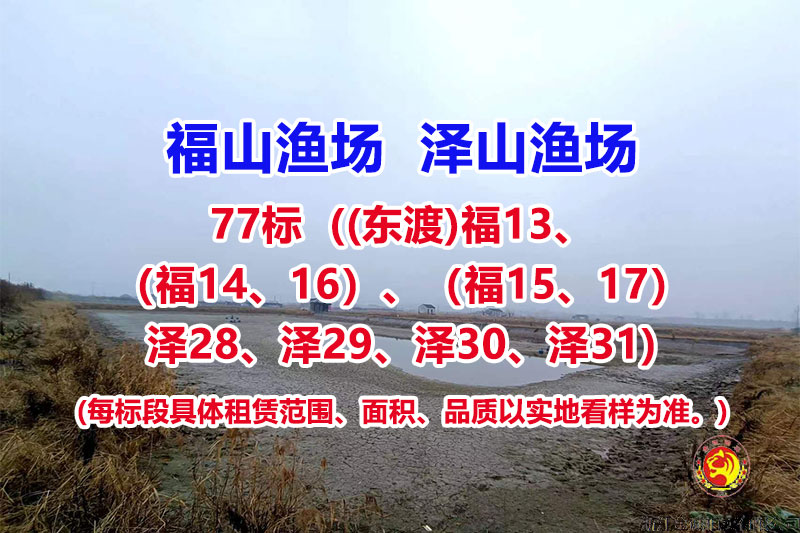 序号077：77标（(东渡)福13、（福14、16）、（福15、17）、泽28、泽29、泽30、泽31）