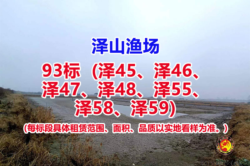 序号093：93标（泽45、泽46、泽47、泽48、泽55、泽58、泽59）