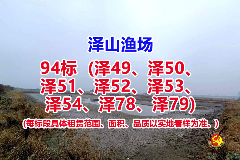 序号094：94标（泽49、泽50、泽51、泽52、泽53、泽54、泽78、泽79）