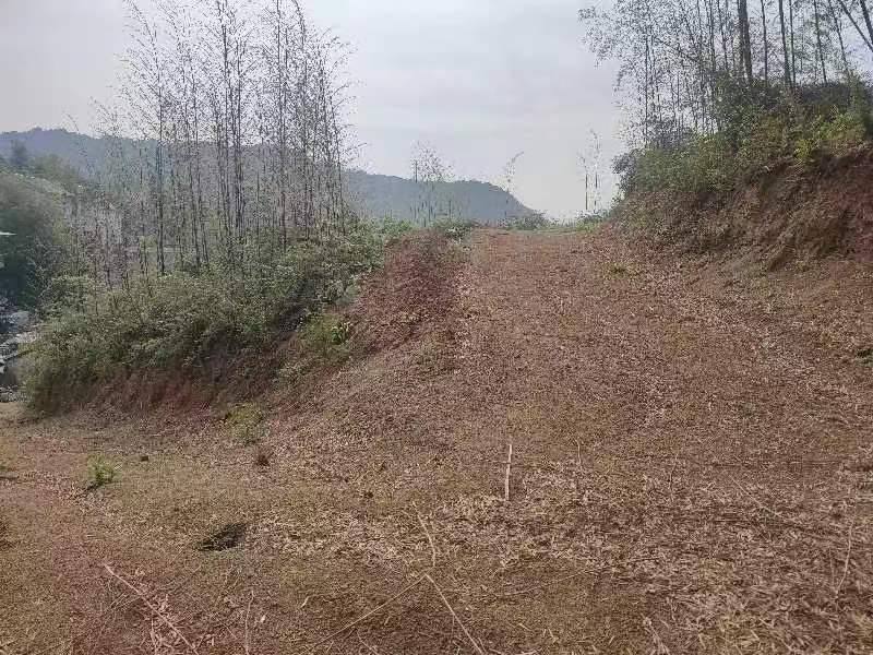 宁海县跃龙街道屠岙胡村村庄规划区边坡工程的土石方一批