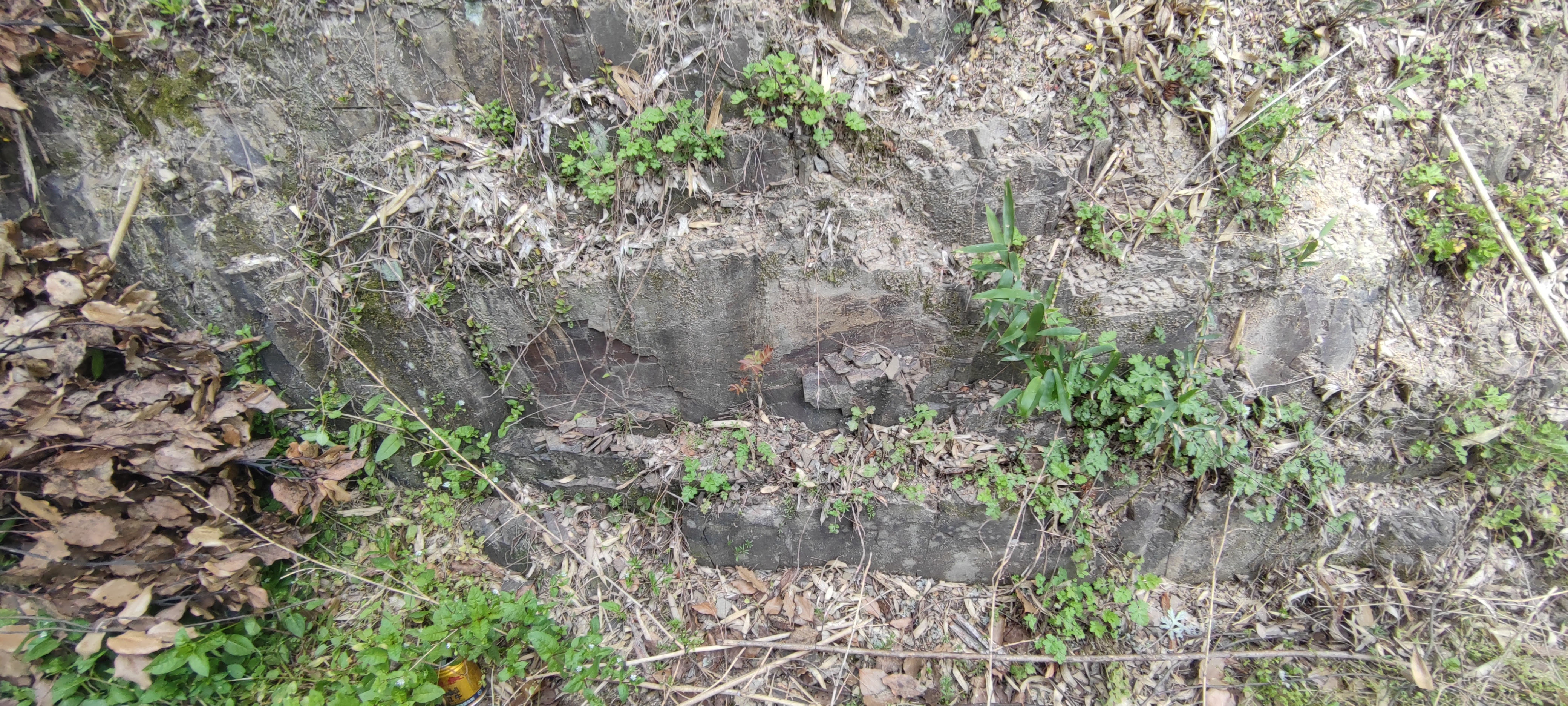 宁海县跃龙街道屠岙胡村村庄规划区边坡工程的土石方一批