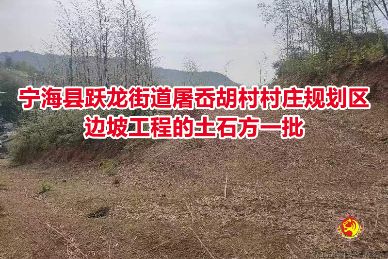 宁海县跃龙街道屠岙胡村村庄规划区边坡工程的土石方一批