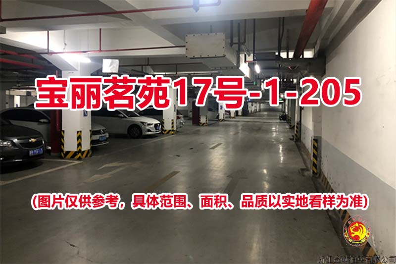 序号132：宝丽茗苑17号-1-205